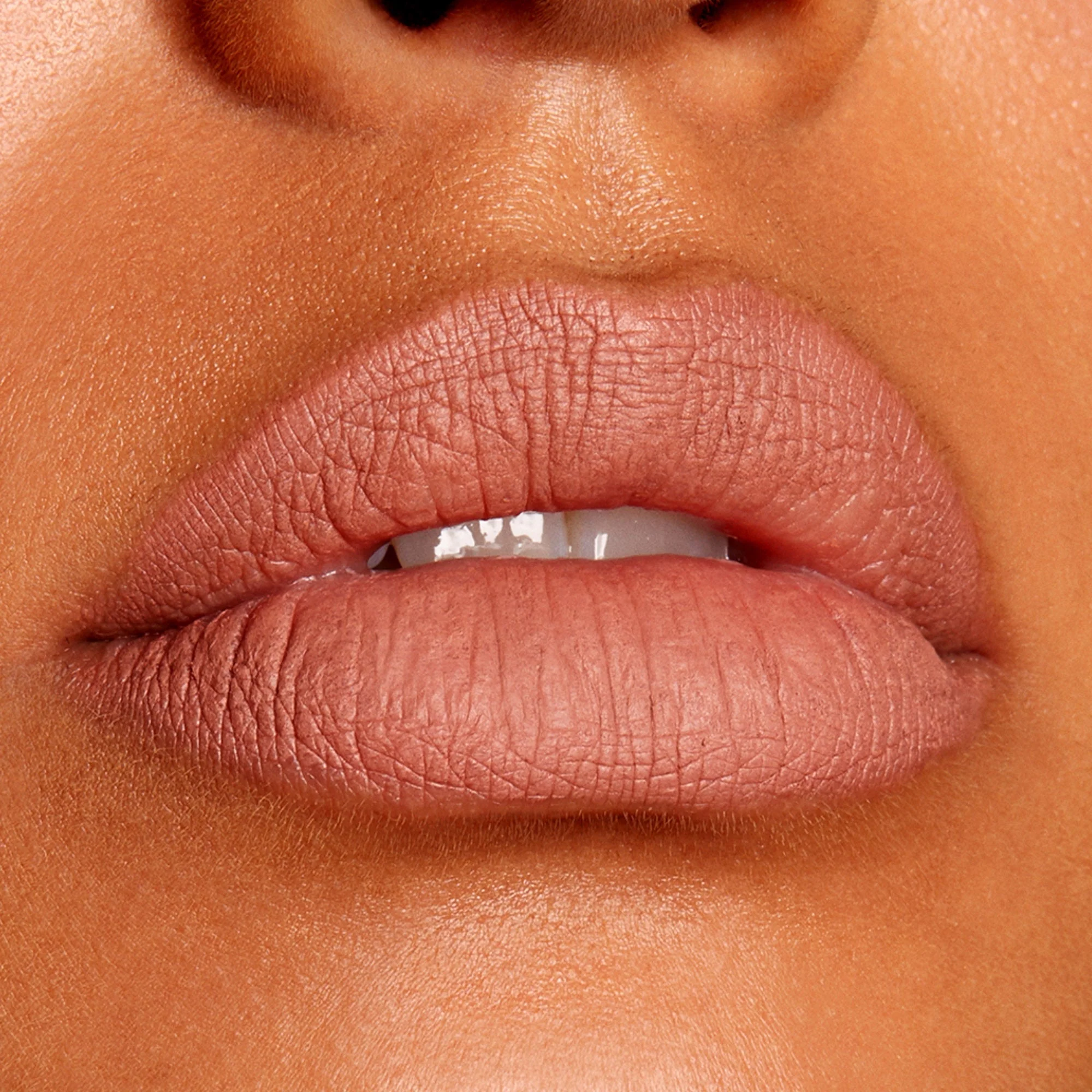 Truth or Bare - Image 3