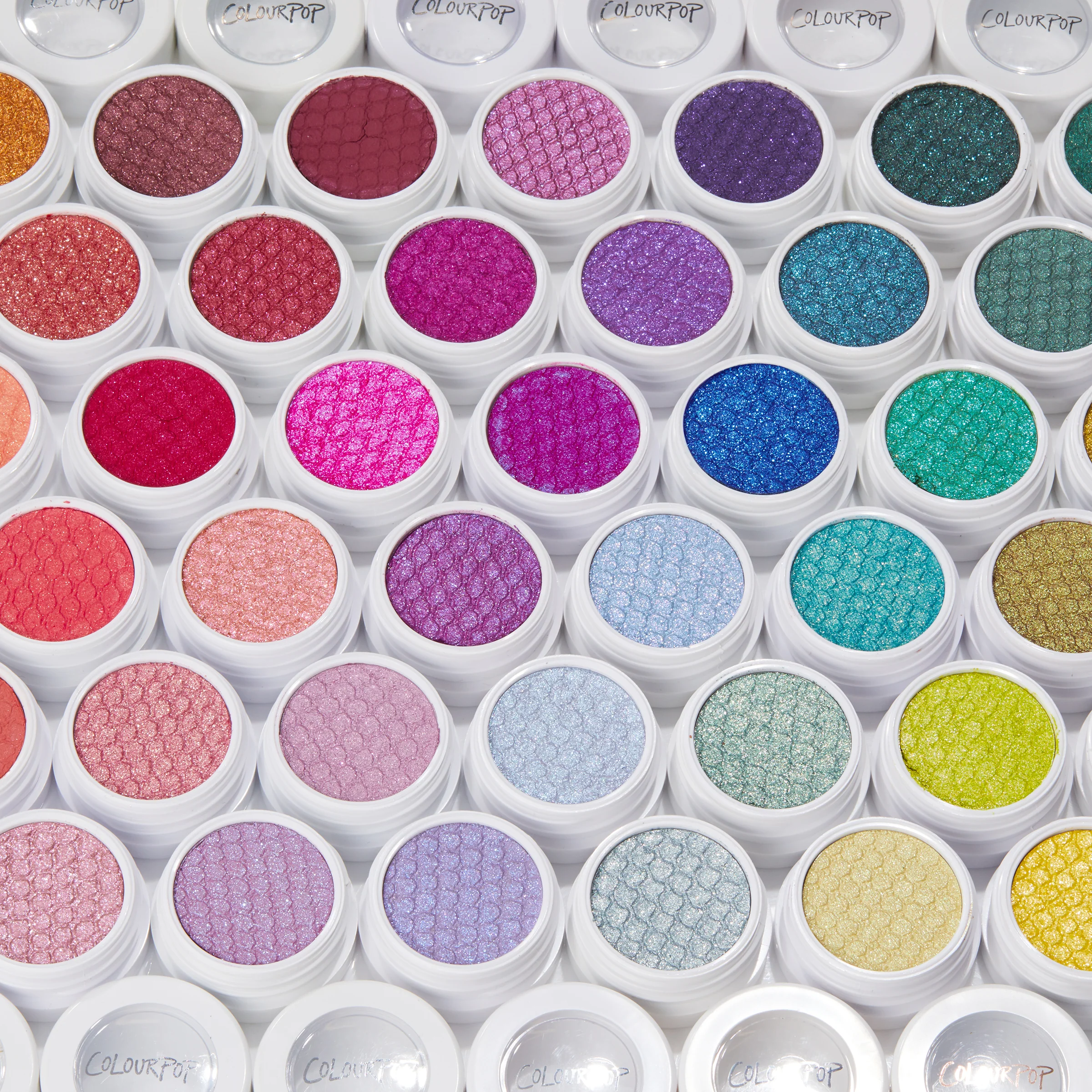 Moon Daisy - Image 6