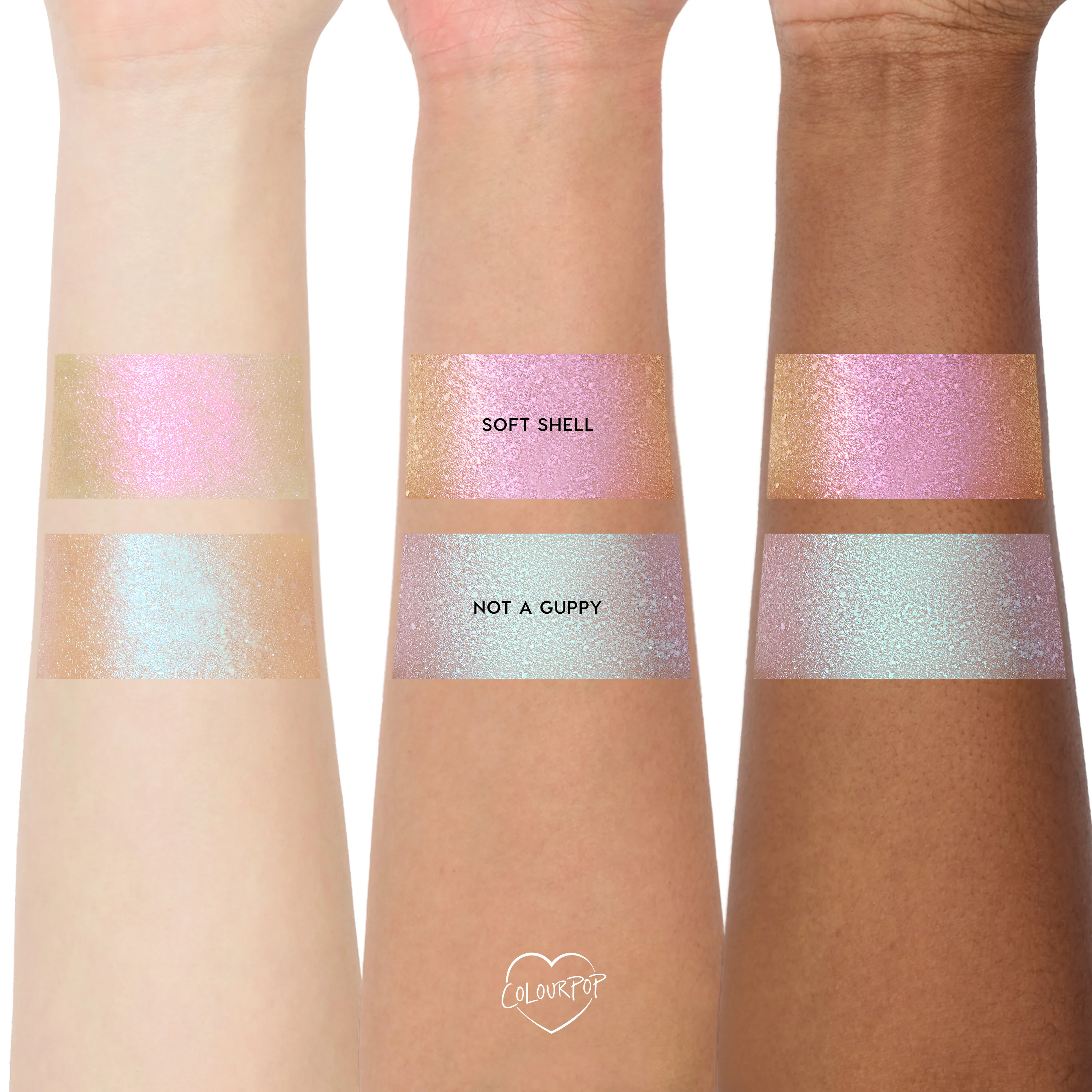 Soft Shell - Image 5