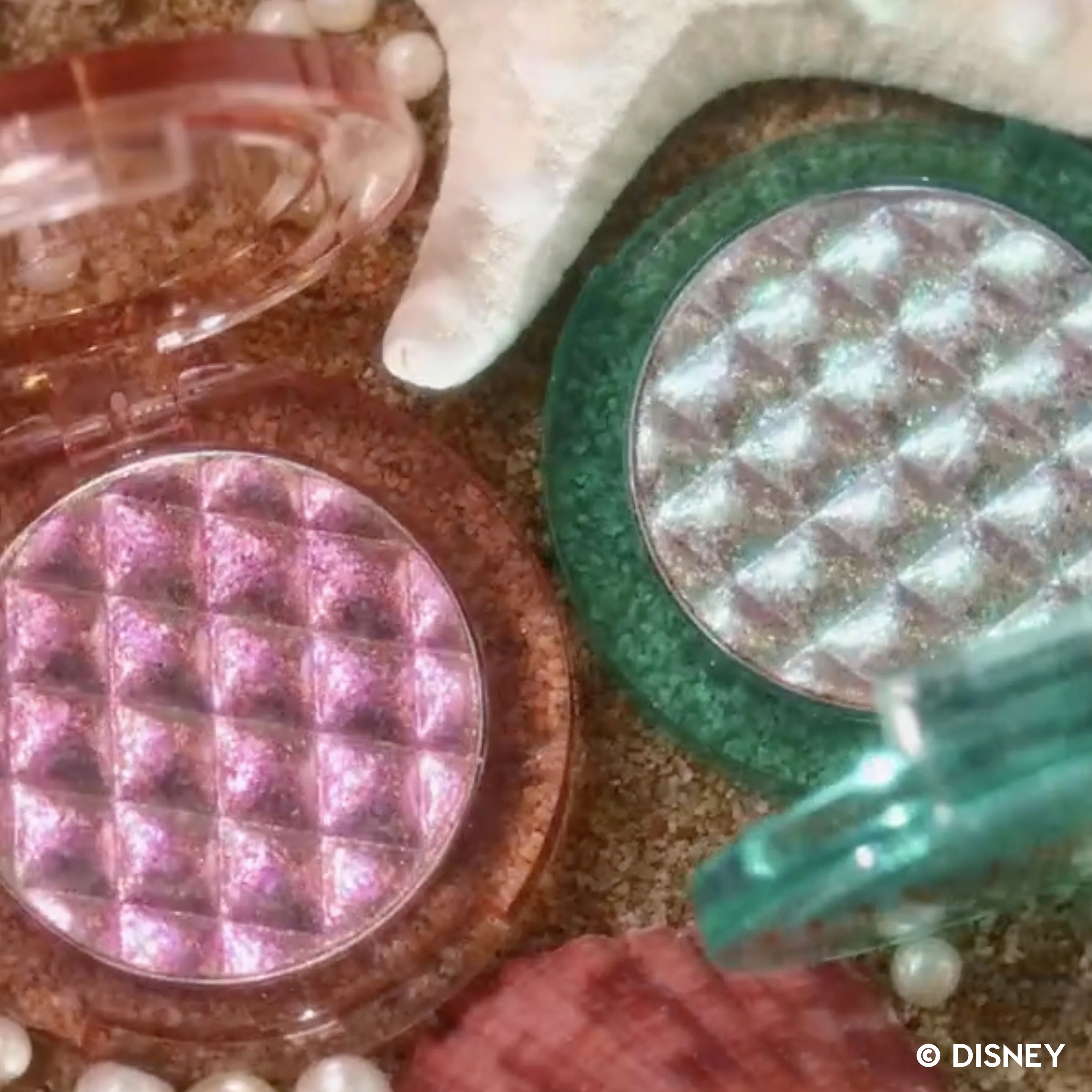 Soft Shell - Image 6