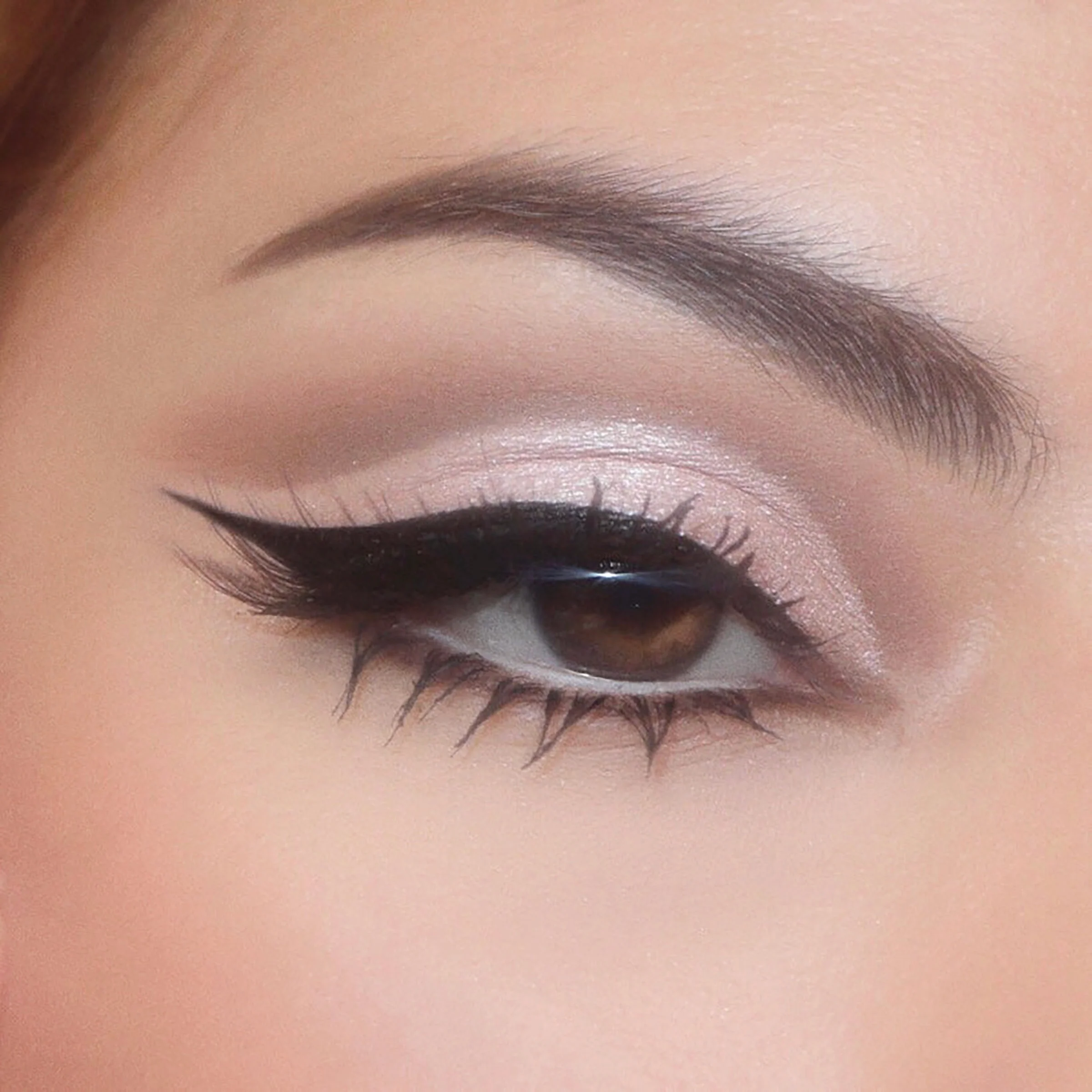 Stone Cold Fox - Image 6