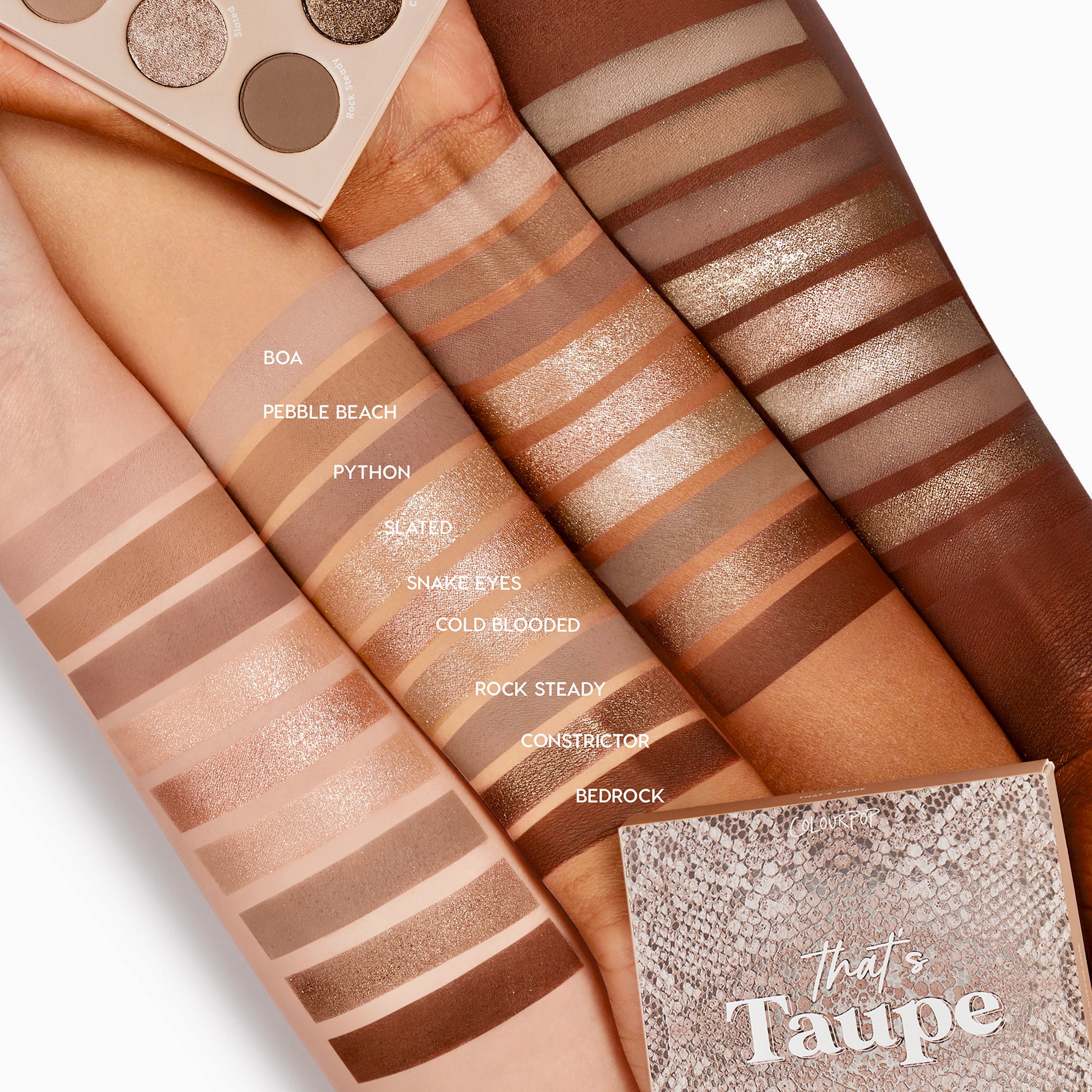That's Taupe - Image 3