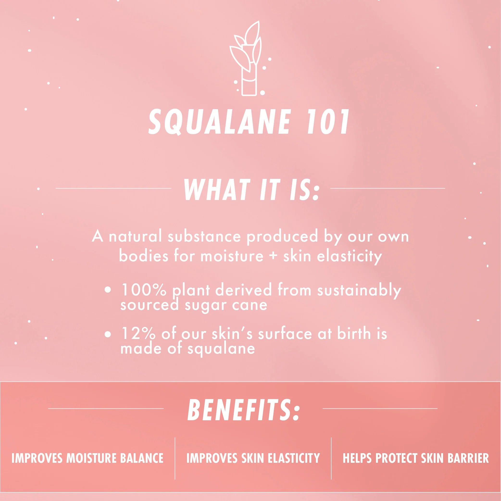 The Daily Face Cream - Image 5