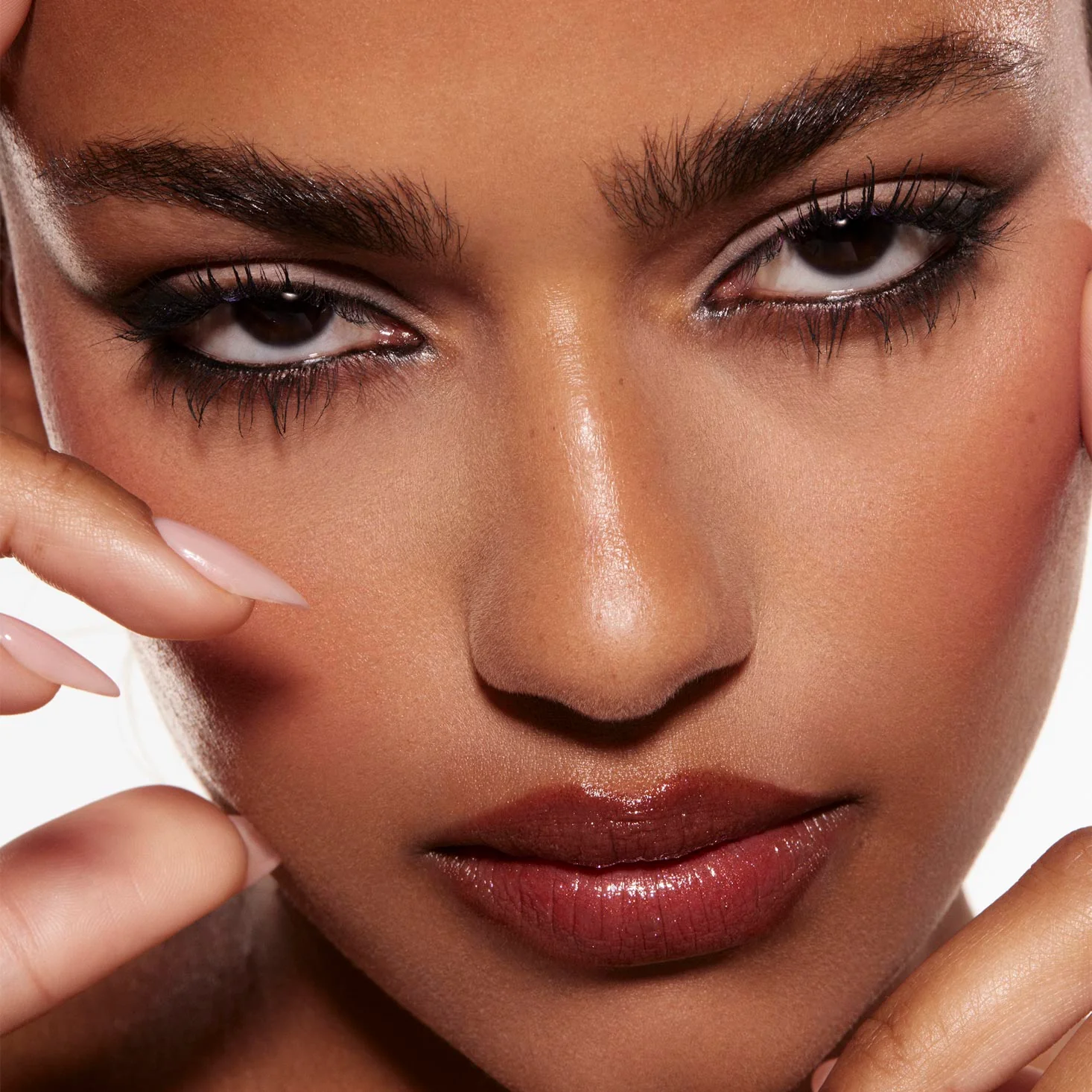 Stone Cold Fox - Image 4